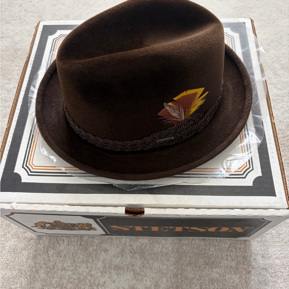 Stetson Dark Brown Hat with Feather Accent